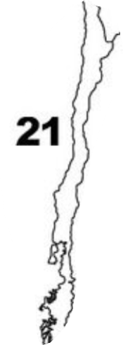 <p>Chile (21)</p>