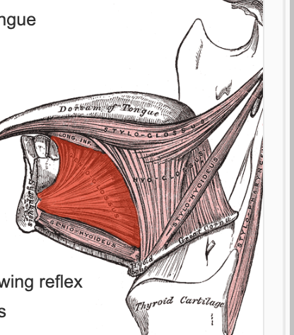 <p>what does this show</p>