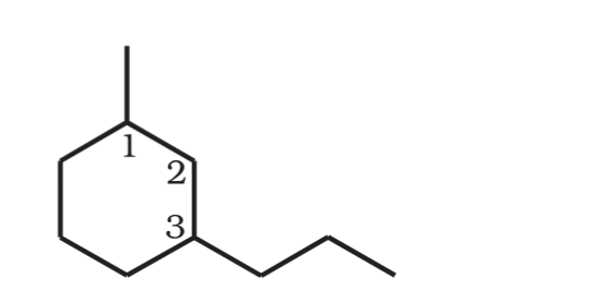 <p>What is the IUPAC name for this?</p>