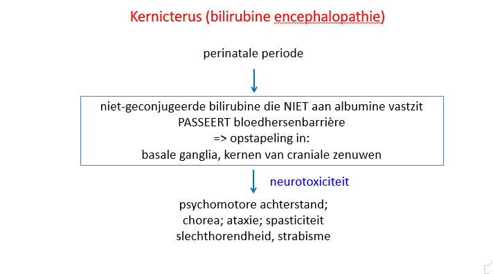<p>niet-geconjugeerd bilirubine kan door de bloed hersenbarrière van neonati en kan er opstapelen in basale ganglia, in kernen van craniale zenuwen en veroorzaakt er schade.</p><p>= kernicterus</p><p></p><p>dit kan doordat het conjugatie apparaat van neonati nog niet helemaal matuur is.</p><p>de bloed hersenbarrière is ook nog niet helemaal matuur</p><p>het is de icterus die doordringt tot in de kern van de hersenen</p><p>—</p><p>dit leit tot</p><ul><li><p>psychomotore achterstand</p></li><li><p>chorea (bewegingsstoornissen)</p></li><li><p>ataxie (ongecoördineerde bewegignen)</p></li><li><p>spasticiteit (= spieren die altijd in spasmen gaan)</p></li><li><p>slechthorendheid</p></li><li><p>strabisme (= wanneer de ogen niet allebei in exact dezelfde richting kijken / scheel kijken)</p></li></ul><p></p>