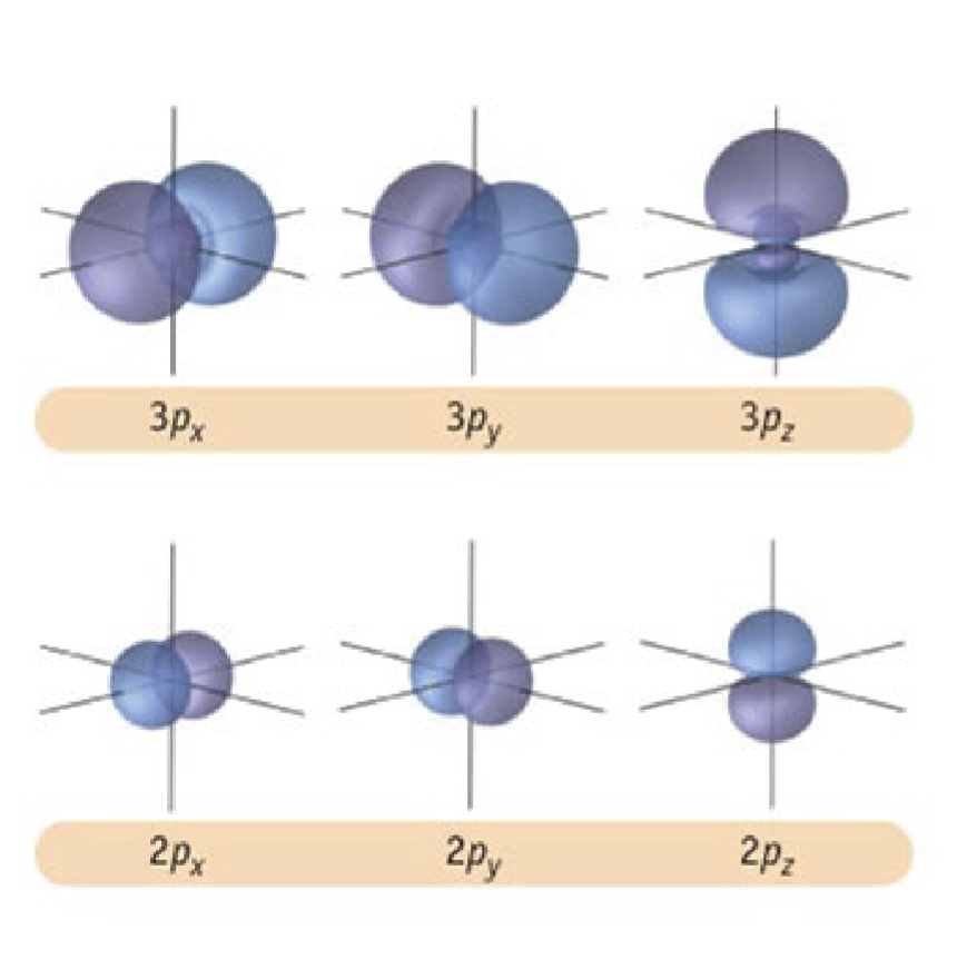 <p>• are dumbbells shaped (ℓ = 1)</p><p>• have 3 orientations (mℓ = −1, 0, +1)</p><p>• There are three p orbitals in a shell (e.g.</p><p>three 2p orbitals: 2px, 2py, 2pz).</p><p>-can have up to 6 electrons </p><p>• have 1 angular node</p><p>• have n-2 spherical nodes</p><p>• Orbital size increases as n increases</p><p>• Size of 2p < 3p</p>