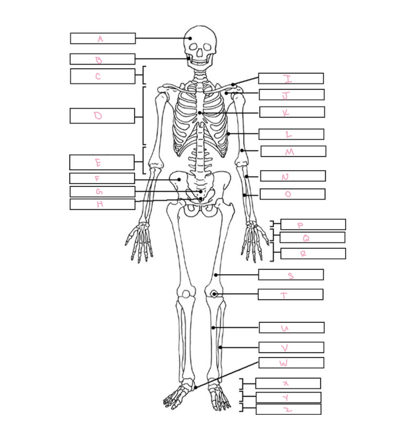 <p>What is C?</p>
