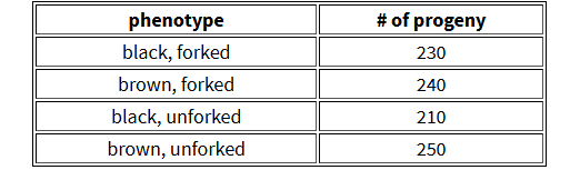 <p>CH 3: <span>A presumed dihybrid in Drosophila, </span><em>B</em><span>/</span><em>b</em><span>;</span><em>F</em><span>/</span><em>f</em><span>, is testcrossed with </span><em>b</em><span>/</span><em>b</em><span>;</span><em>f</em><span>/</span><em>f</em><span> (B=black&nbsp;body; b=brown&nbsp;body; F=forked&nbsp;bristles; f=unforked&nbsp;bristles). The results of the cross are outlined in the table. Assume that the genes assort&nbsp;independently.</span></p>