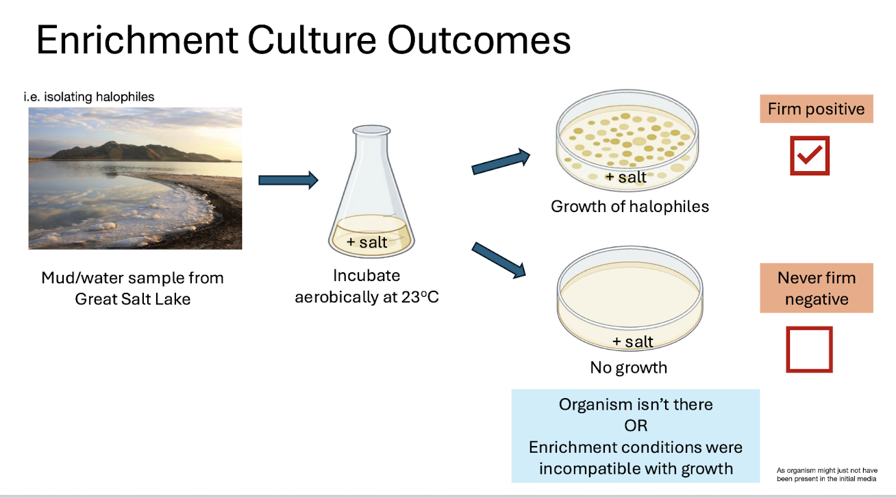 <ul><li><p><span><strong>Firm positive:</strong> Growth under selective conditions.</span></p></li><li><p><span><strong>Never firm negative:</strong> Absence of growth may mean organism absent OR conditions unsuitable.</span></p></li></ul><p></p>