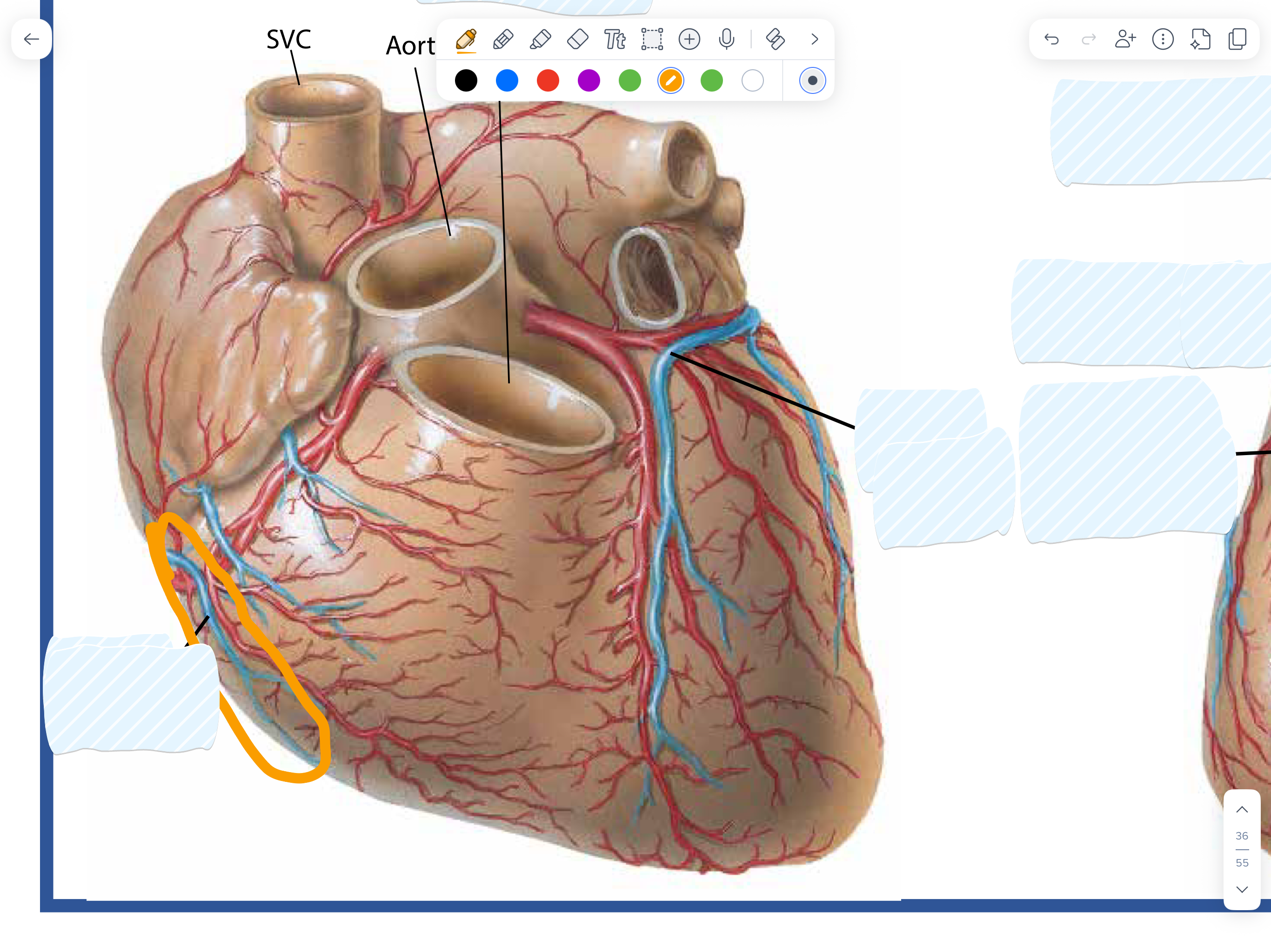 knowt flashcard image