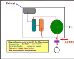 <p>What type of breathing system is utilized during the Initial Breath phase of a Xenon ventilation study?</p>