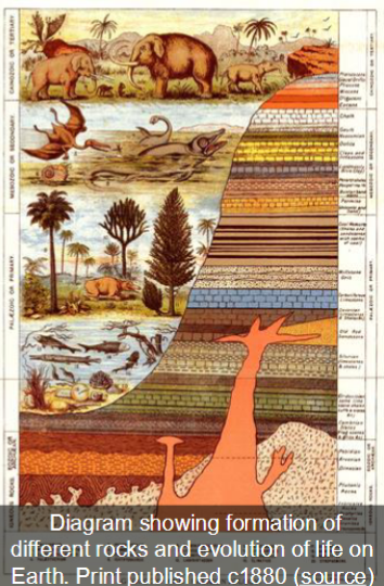 <p>science of mapping the order of rocks</p><p>strata = layers of rock</p><p>Dinosaurs are found in Mesozoic rocks (Greek: “meso” = middle; “zoa” = life) because they are in the middle of the stratigraphic column </p>