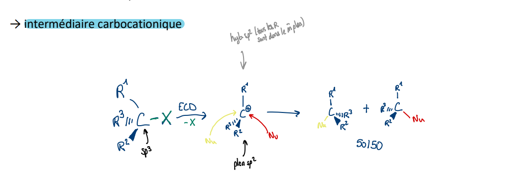 <ul><li><p>dépend de la concentration en E uniquement (ECD), 2 étapes distinctes dans mécanisme, intermédiaire carbocationique </p></li><li><p>Dans réactions <strong>SN1</strong>, i<strong>ntermédiaire chargé favorisé par les solvants protiques et polaires. </strong>Souvent le Nu est aussi le solvant : réaction de solvolyse. </p></li></ul><p></p>