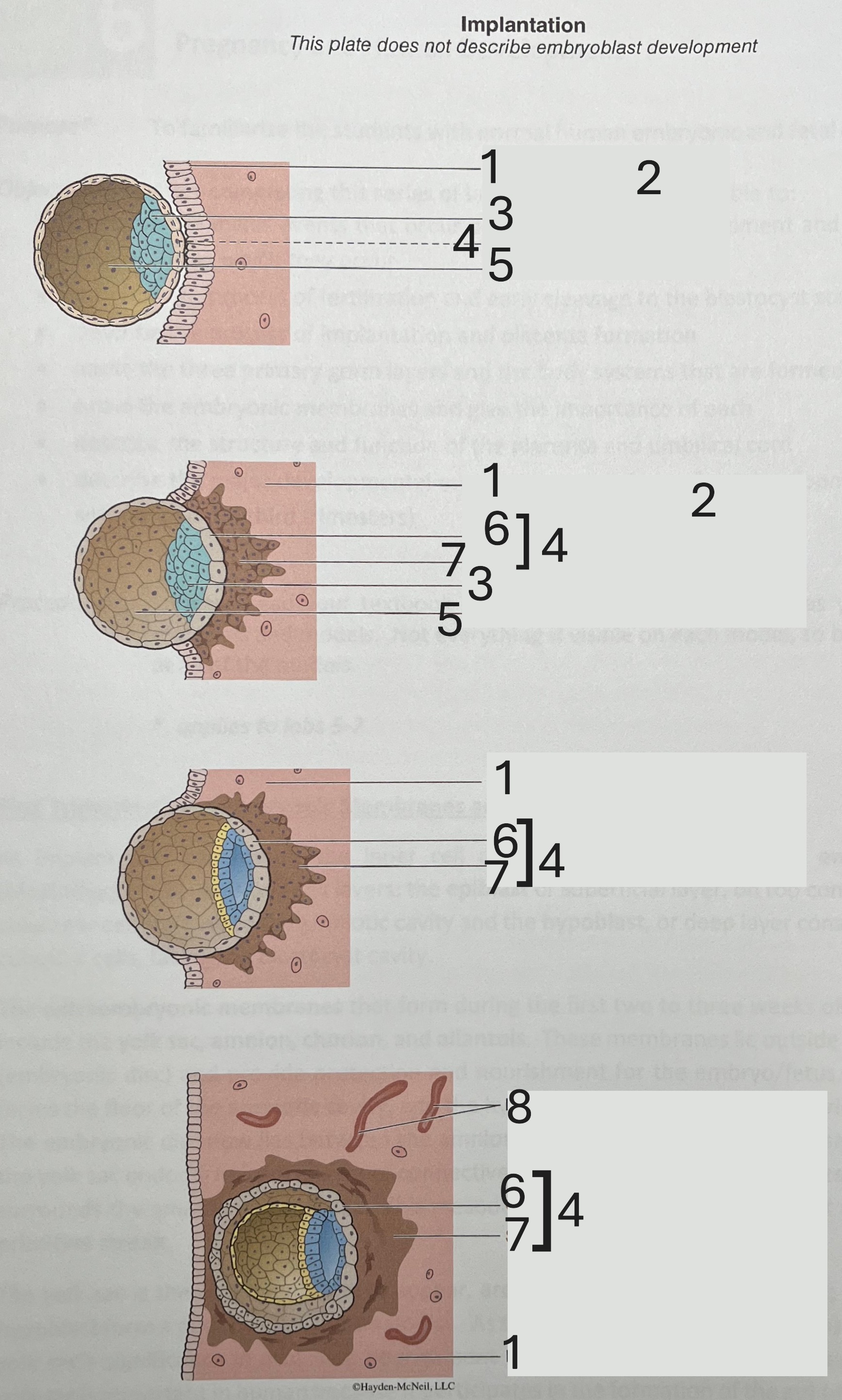 <p>2</p>