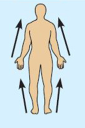 <ul><li><p>Closer to the origin of the body part or the point of attachment of a limb to the body trunk</p></li><li><p>The elbow is proximal to the wrist </p></li></ul><p></p>