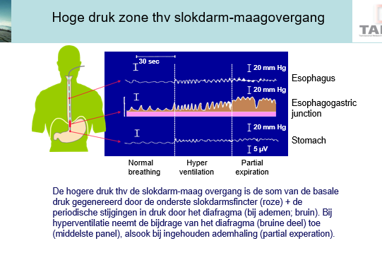 <p><span>Som van basale druk die gegenereerd wordt in onderste sfincter en stijging diafragma bij ademen.</span></p><p style="text-align: left;"></p><p style="text-align: left;"><span>We zien dat wanneer pt’en hyperventileren de druk in de LOS naar boven gaat.</span></p><p style="text-align: left;"></p><p style="text-align: left;"><span>Bij partiële expiratie (soort valsalva manouvre waarbij men de adem inhoud): zie je dat de druk omhoog gaat en dat diafragma zogrt voor compensatoire druk van de druk in de transitiezone om reflux te voorkomen.</span></p>
