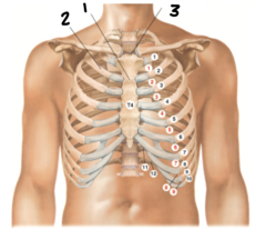 <p>1</p>