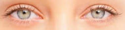 <p>des yeux</p>