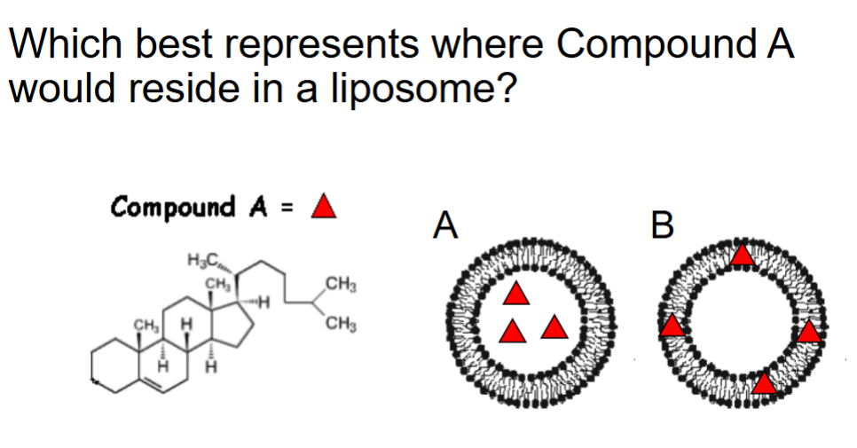 <p>*There is a OH at the bottom left of the molecule*</p>