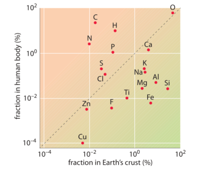 <p>What is more abundant in the Earth’s crust than in the body</p>
