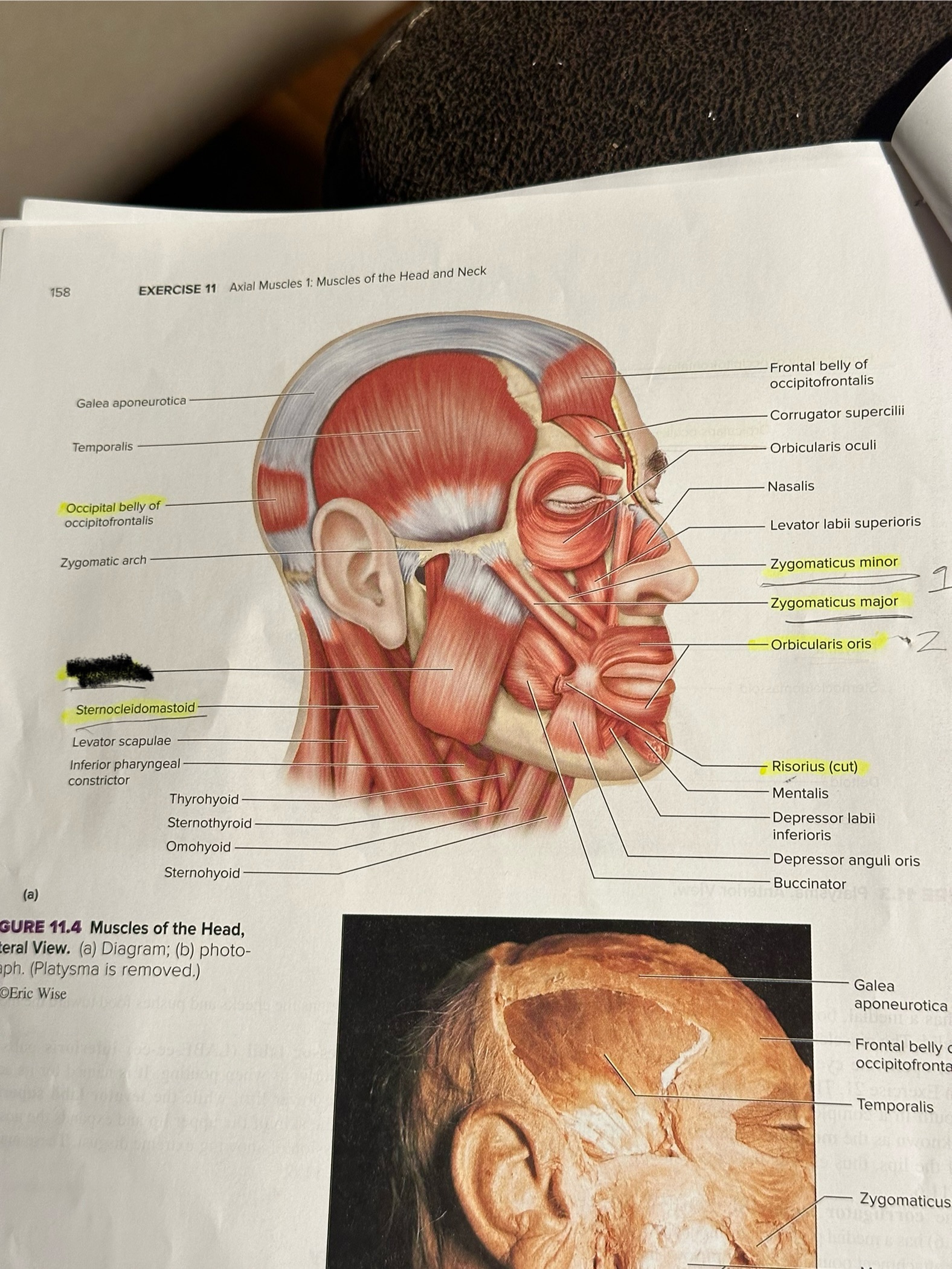 <p>Location crossed out</p>