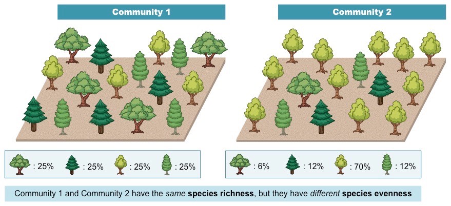 <p>Species evenness </p>