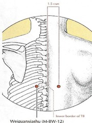 <p>1.5 cun lateral to lower border of spinous process of T8</p><p>Diabetes</p><p>Oblique 0.5 - 0.7 inch, moxa</p>