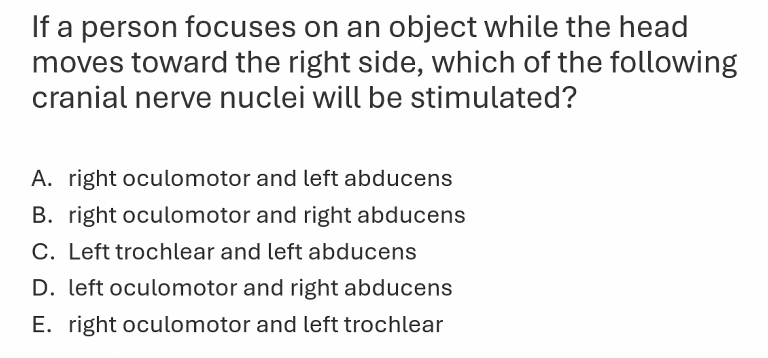 <p>A) </p><p>she guarantees one of not multiple questions on this next exam. </p>