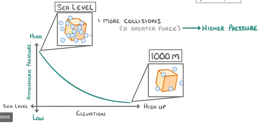 <p>Explain the graph</p>