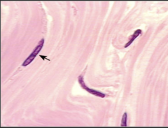 <p>What does this image show?</p>