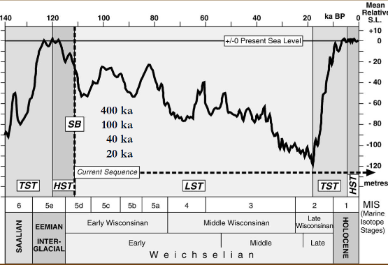 <p>HST are high stand tracts (SL is highest)</p><p>TST are transgressive system tracts (SL is rising)</p><p>LST are low stand tracts (SL is lowest)</p>
