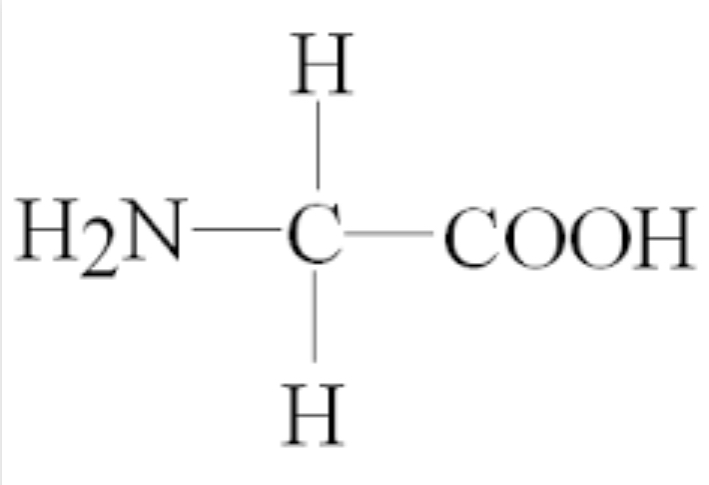 <p>what amino acid</p>