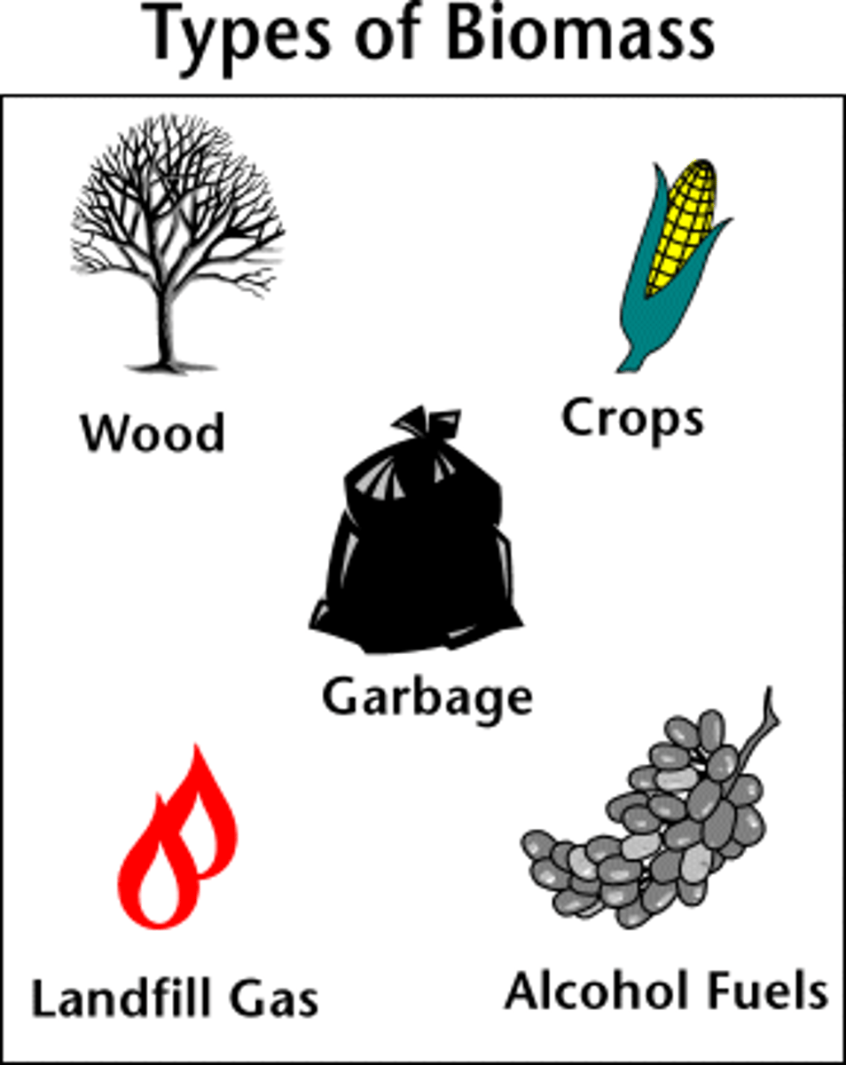 <p>/ˈbaɪəʊmæs/ (noun).</p><p>sinh khối</p><p>Ex: The biomass of fungi in a forest contributes significantly to soil health.</p>