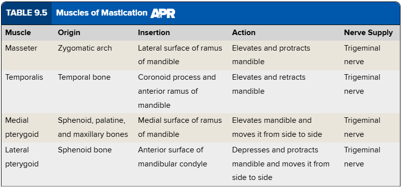 knowt flashcard image