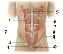 <p>2</p>
