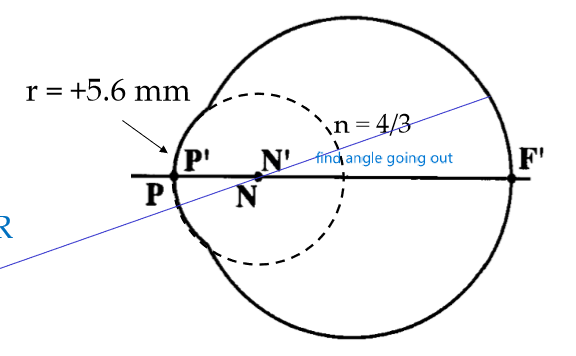 <p>centre of rotation of the spherical cornea </p><ul><li><p>normally the nodal points coincide with principle and vertex points for a thin lens in air, but because the n is different on opposite sides it is different </p></li></ul><p></p>