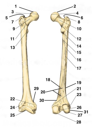 <p>Label 9</p>