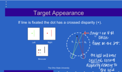 <p>In this example (see pic), when the LINE is fixated, the dot will have (uncrossed/crossed) disparity</p>