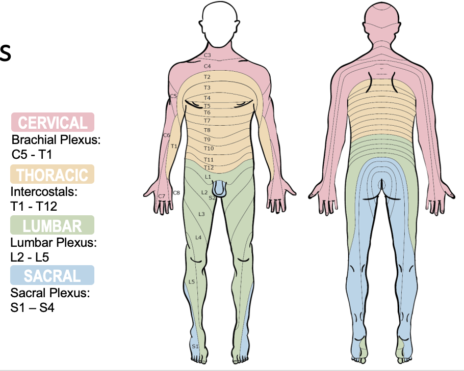 <p>[Image]</p>