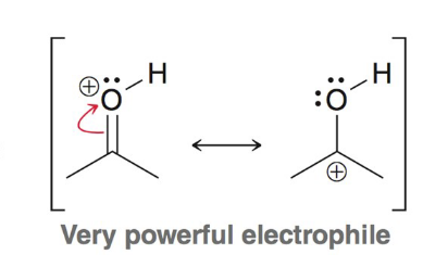 <p>Acidic conditions are required in order for a weak nucleophile</p><p>to attack a carbonyl carbon</p>