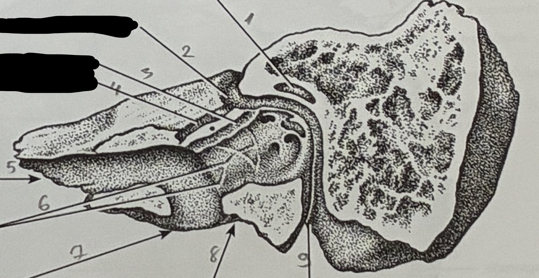 <p>4</p>