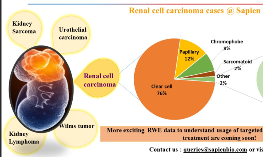 <p>a. clear and granular cell and spindle </p><p></p>
