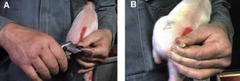 <p>What is this and why do you do it?</p>