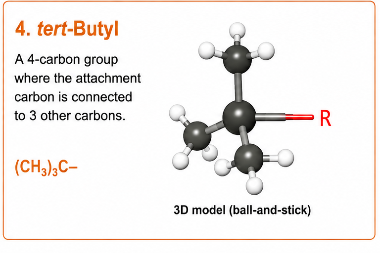 <p><strong>tert-Butyl</strong></p><p><strong>(CH₃)₃C–</strong></p><ul><li><p><strong>(CH₃)₃</strong> = 3 carbons</p></li><li><p><strong>C</strong> = 1 more carbon</p></li></ul><p><strong>3 + 1 = 4 carbons</strong> <span data-name="check_mark_button" data-type="emoji">✅</span></p>