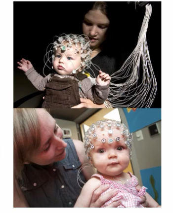 <ul><li><p>Involves placing "geodesic net" composed of large number of electrodes onto head</p></li><li><p>Sensors pick up the natural electrical changes at the scale as groups of neurons are activated within the brain</p></li><li><p>Infants' brains show more widespread activation when presented a face than adults — evidence gradual specialization and pruning of connections with development</p></li></ul><p></p>