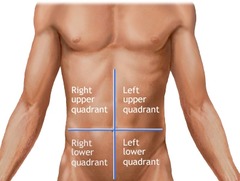 <p>Right upper quadrant (RUQ); Left upper quadrant (LUQ); Right lower quadrant (RLQ), Left lower quadrant (LLQ).</p>