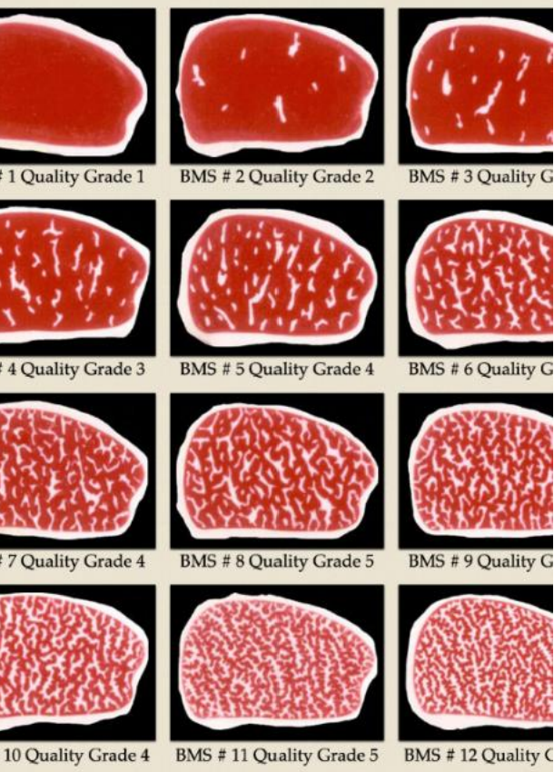 <p>Marbling </p>