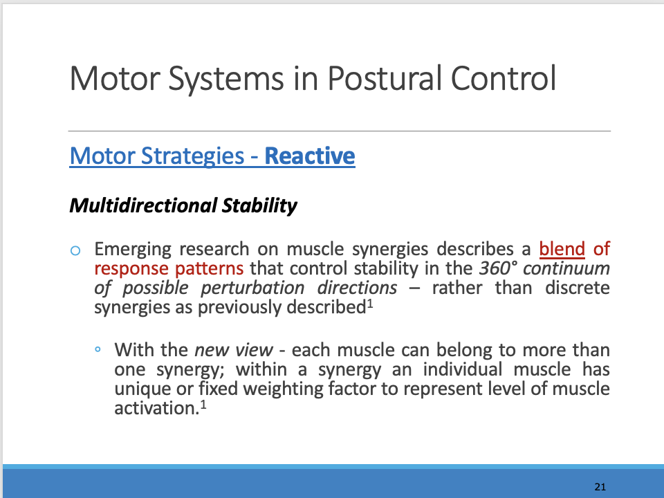 <p>______</p><p><span>The CNS activates synergistic muscles at mechanically related joints, possibly to ensure that forces generated at one joint for balance control do not produce instability elsewhere in the body.</span></p>