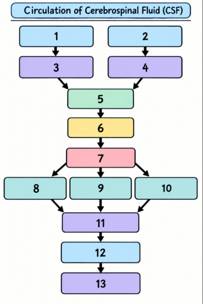 <p>1</p>