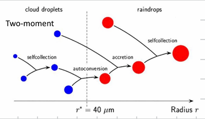 <ul><li><p>distribution not assumed fixed, shape the same but stretch possible</p></li><li><p>mass and number of hydrometeors are determined, e.g. 1kg cloud water, 10^6 droplets</p></li><li><p>adds self collection as well</p></li></ul><p></p>