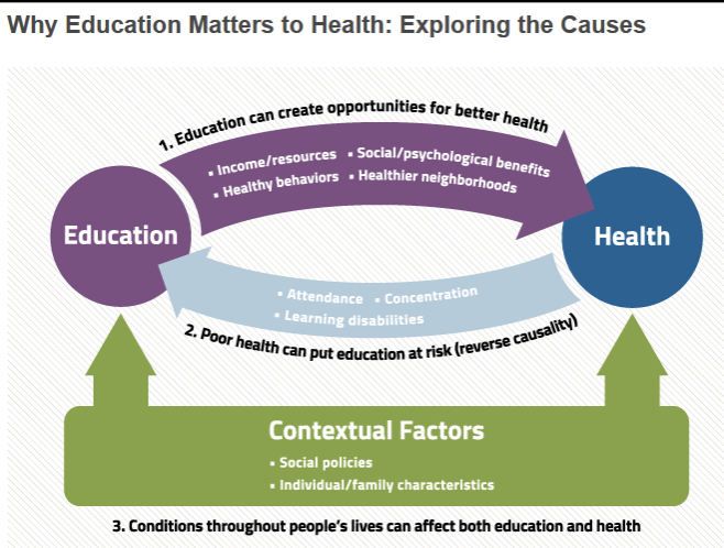 <ol><li><p>social causation hypothesis: SES casually affect health (p)</p></li><li><p>health selection bias hypothesis” unwell children unable to attain higher SES (b)</p></li><li><p>confounding (g)</p></li></ol><p></p>