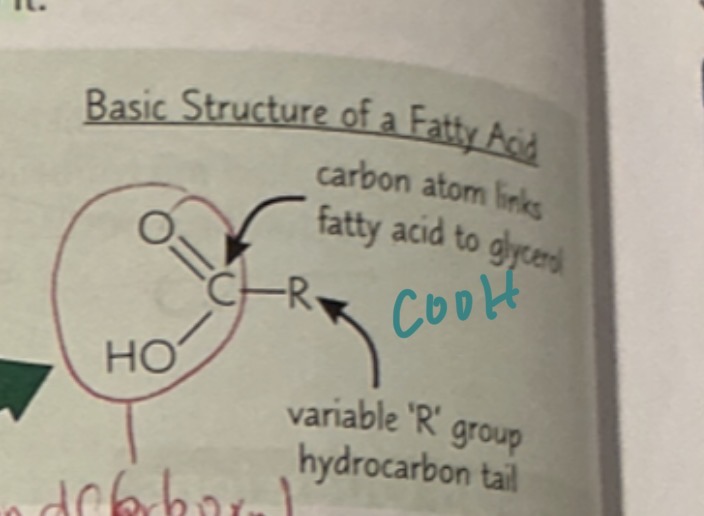 <p>COOH </p>
