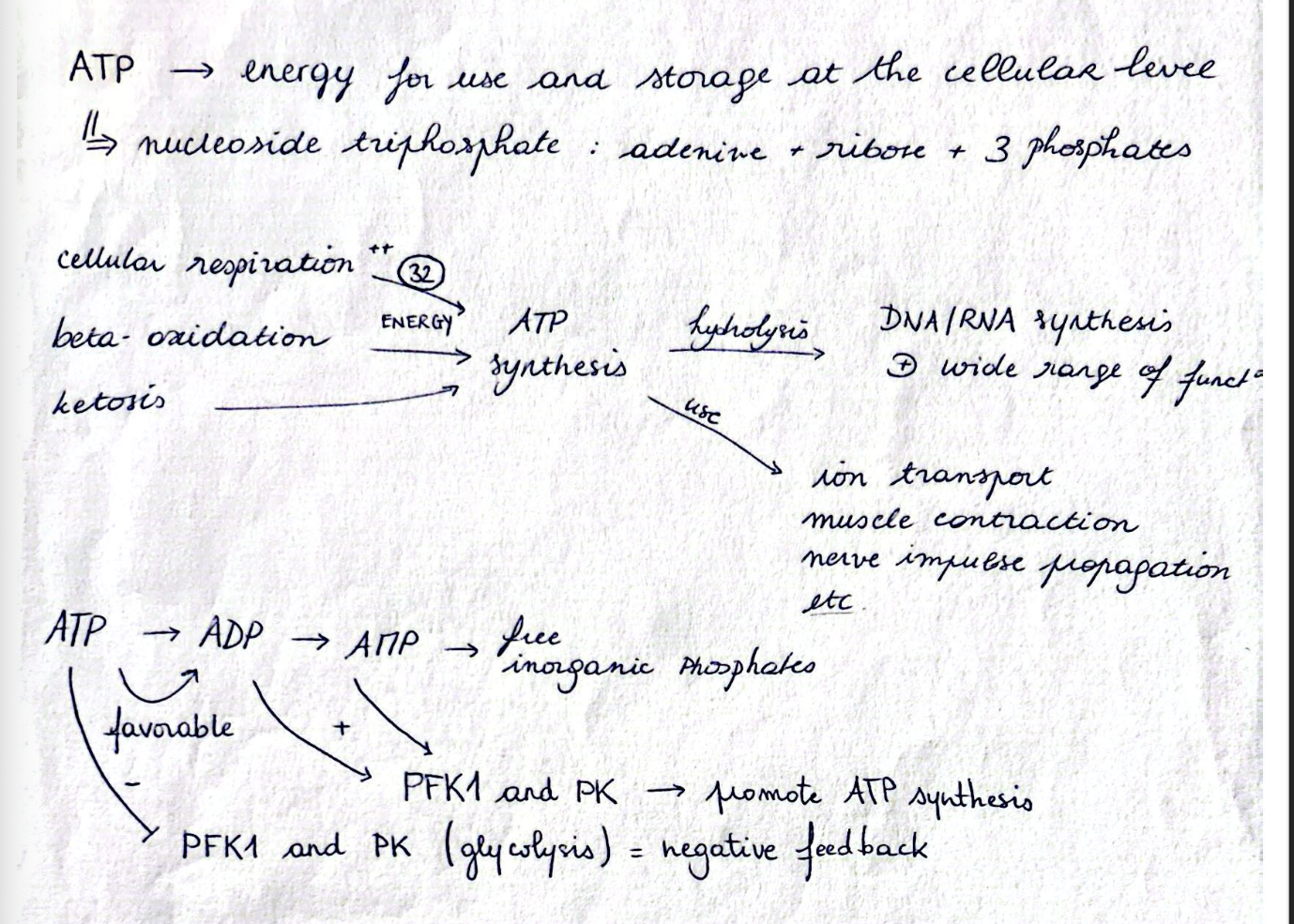 knowt flashcard image