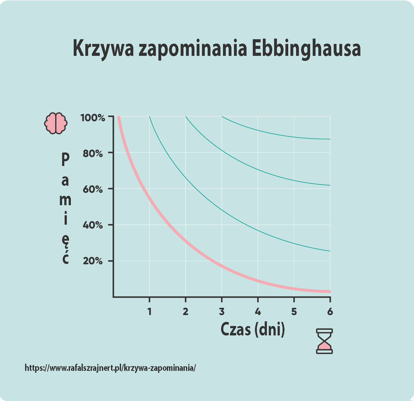 <p>krzywa zapominania Ebbinghausa- mierzenie ile czasu potrzeba na zapamiętanie bezsensownych ciągów sylab i ile z tych sylab można bezbłędnie powtórzyć <span><em>siła asocjacji zależy od liczby powtórzeń, czasu który minął od nauki, przerw pomiędzy</em></span></p><p>psy Pawłowa- warunkowanie klasyczne</p>