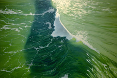 <p>the saltiness of a body of water</p>